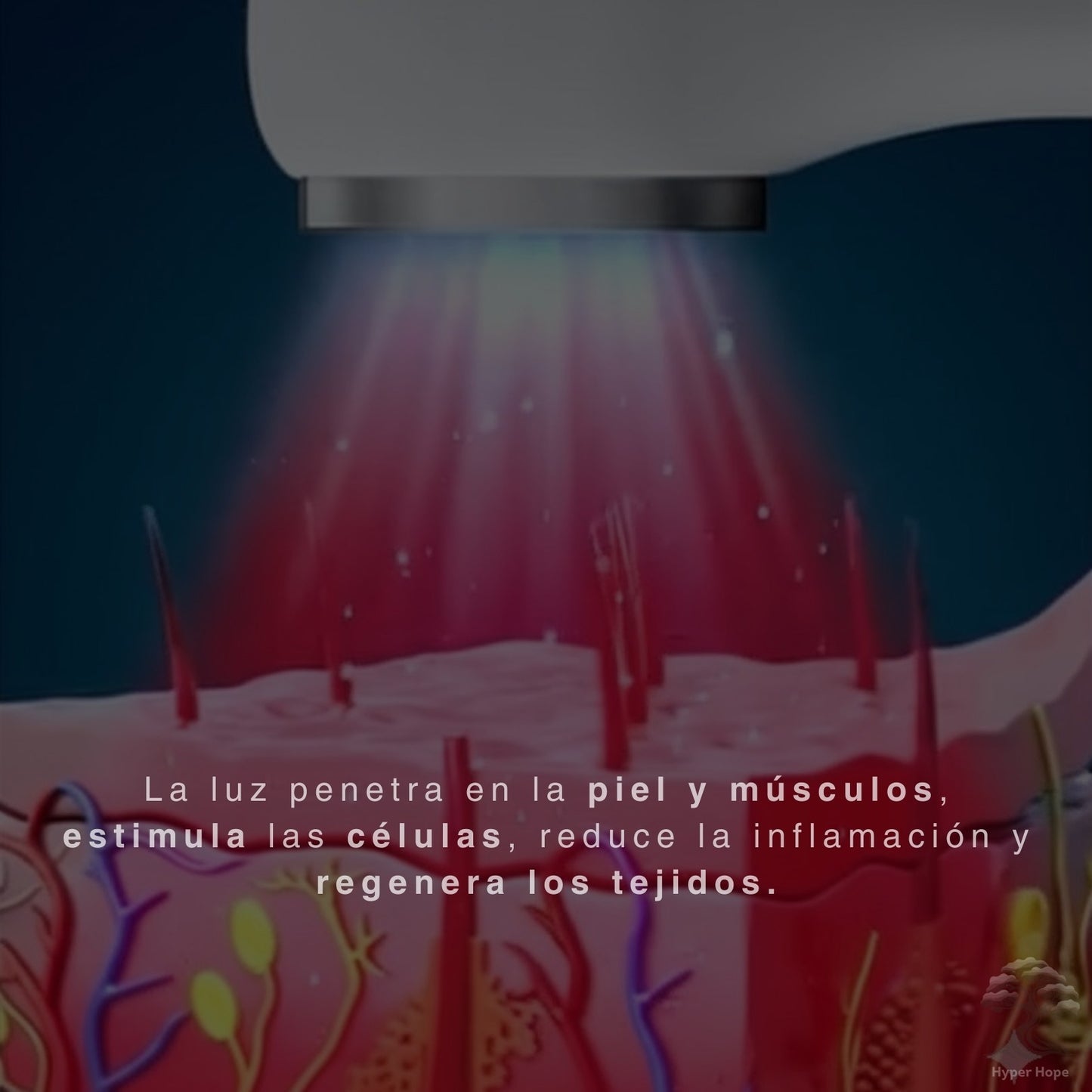 Dispositivo de Terapia Láser Frío Luz Roja Infrarroja Portátil, 650 nm y 808nm, para el Dolor Muscular y Articular